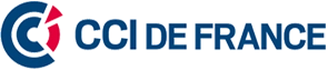 Logo ccidefrance