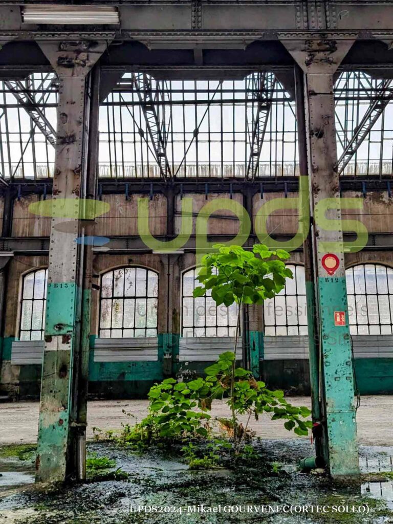 A 2024