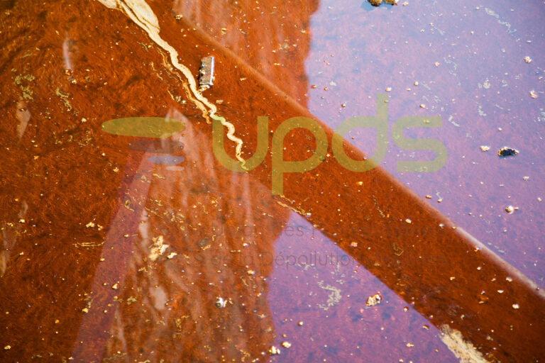 UPDS2011 102 filigrane