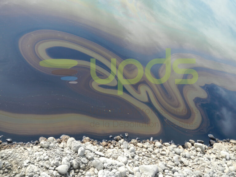 UPDS2013