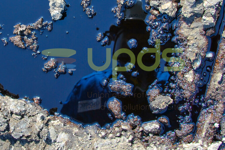 UPDS2013