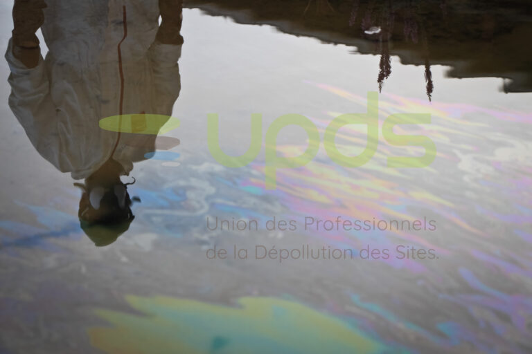 UPDS2013